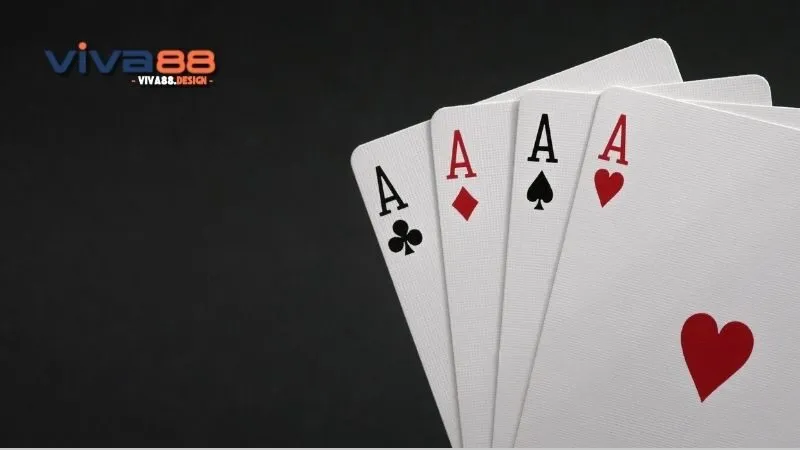 mo-thay-danh-bai-phom-nhung-dieu-can-biet